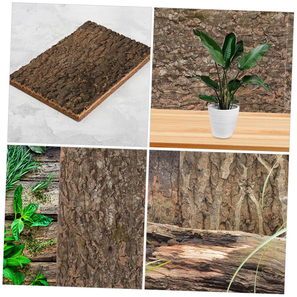 Amazon | Kisangel 爬虫類用天然コルク背景板 テラリウム 水槽装飾 高