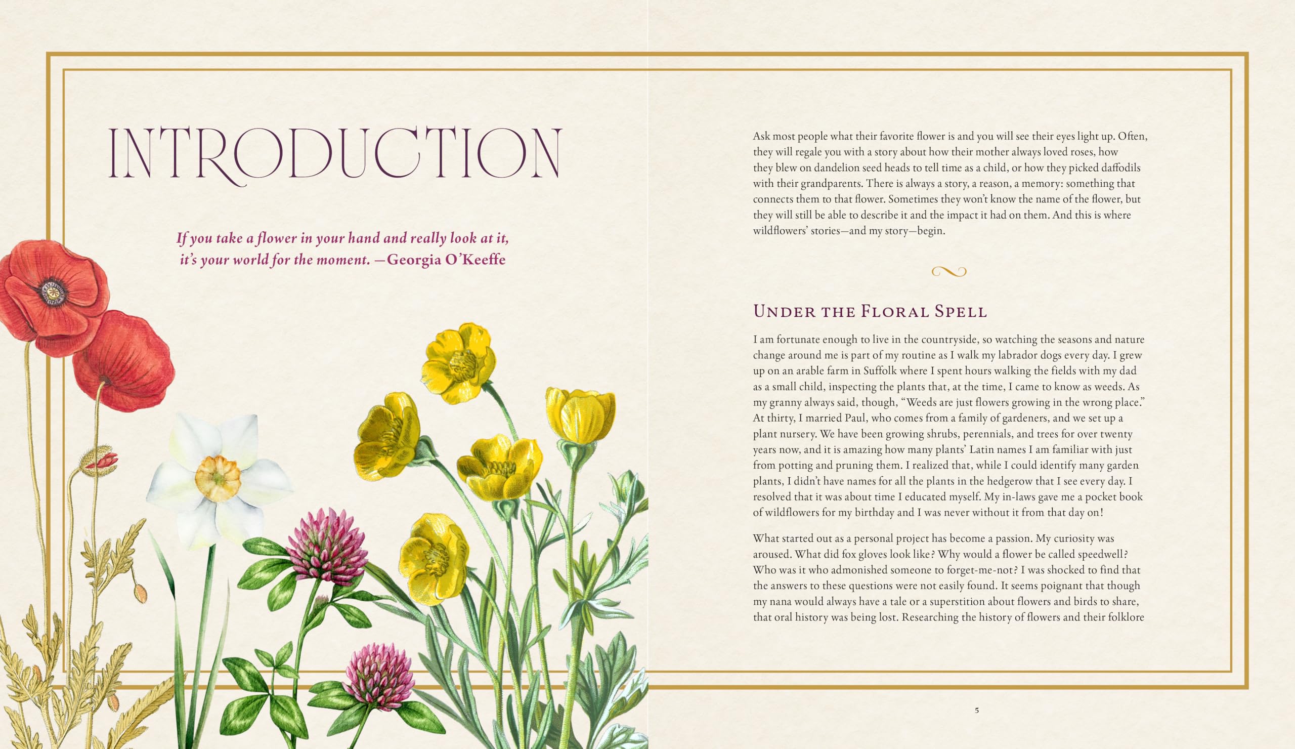 The Folklore of Wildflowers: Stories and History in Bloom