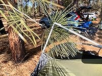 Review Image by L. Jarquin L. Jarquin