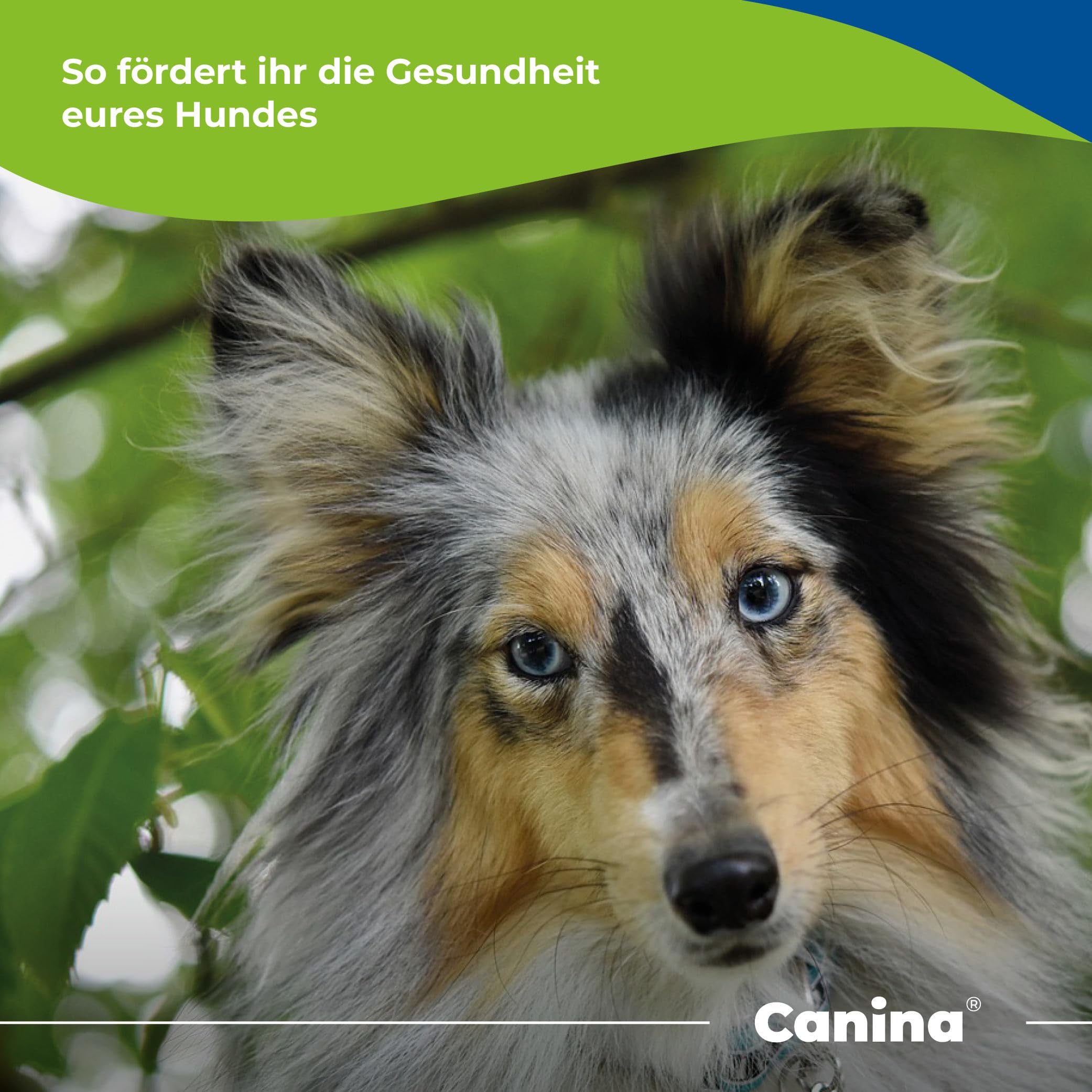 Canina Pharma Hefe Pulver 600g