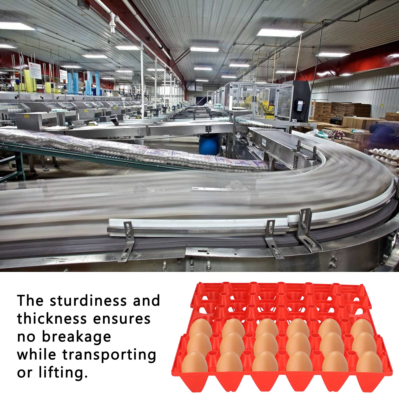 Confezione da 5 vassoi in plastica per uova, 30 celle, per conservazione, trasporto, forniture per la casa e l'azienda agricola (rosso)