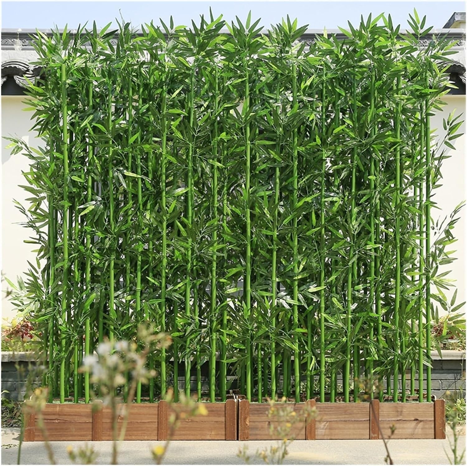 bambus fargesia pflanzen Bambus kaufen | Fargesia Rufa | winterharter Gartenbambus |  23, 110 cm