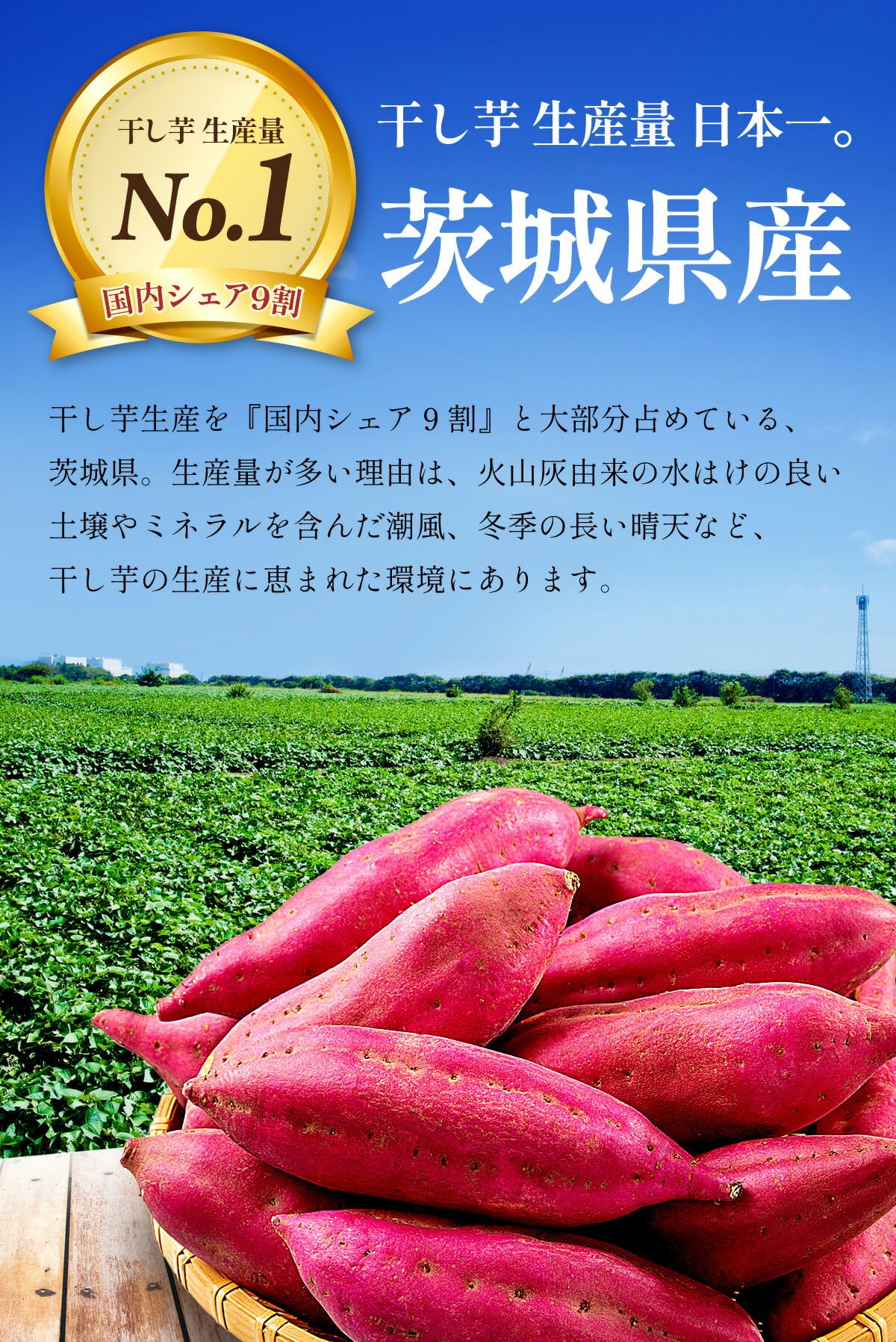 Amazon | 祖の食庵【訳あり】干し芋 シロタ 900g 茨城県産 熟成 紅