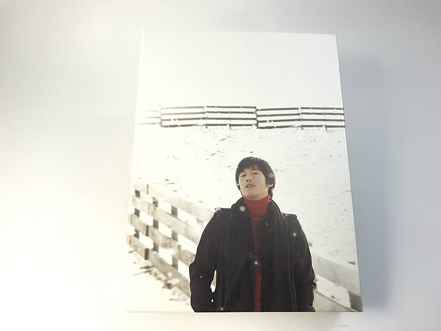 チャン・ヒョク主演/プランダン不汗党DVD-BOX1&BOX2セットostCD付 Amazon.co.jp: プランダン 不汗党 DVD-BOX I : チャン・ヒョク