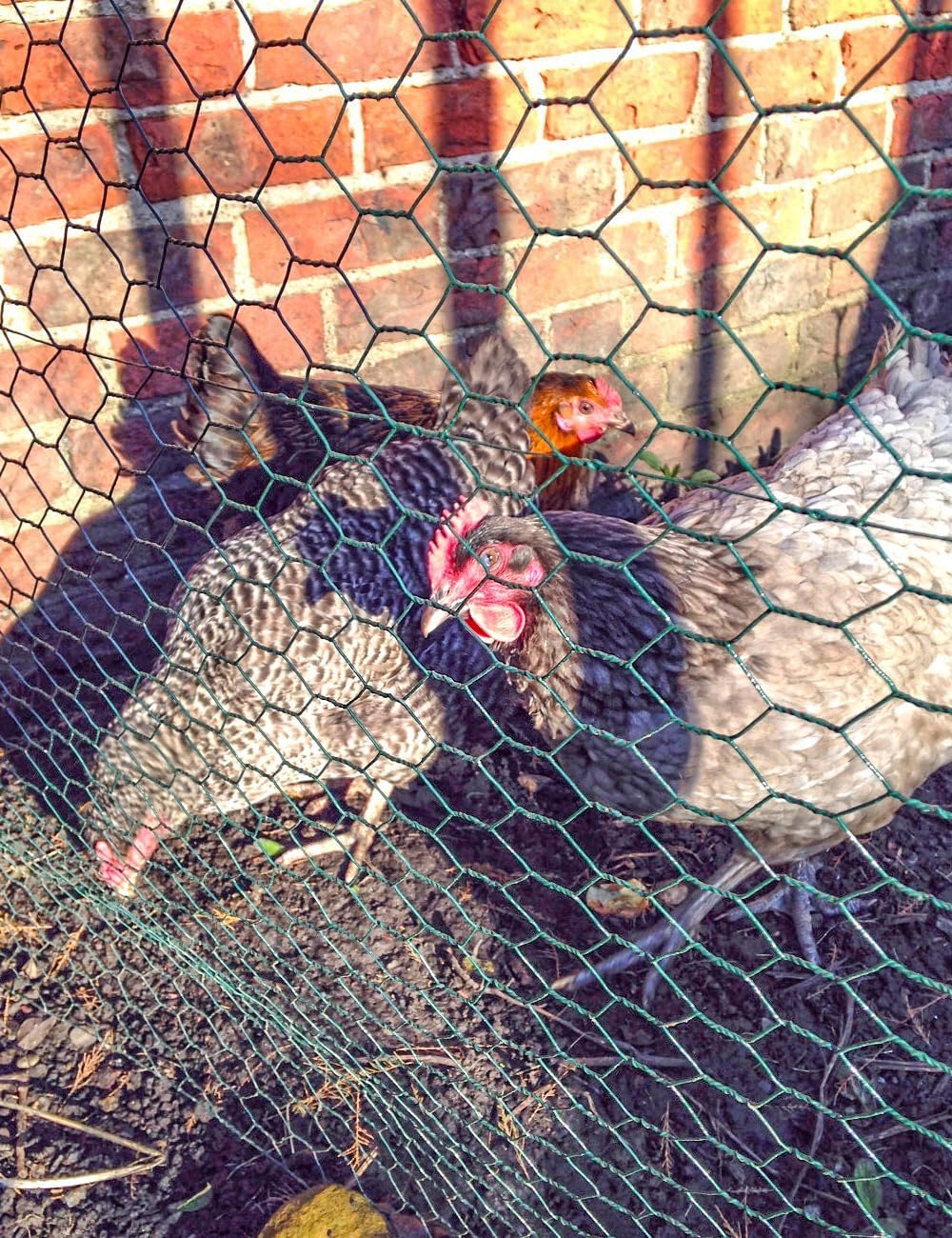TOYPOPOR Chicken Wire, 16''x 600''/49ft Mesh Roll for Floral Arrangements, Anti-Rust PVC Coated Garden Netting, Rabbit Animal Fence with Cutting Plier, Gloves and Ties for DYI Crafts, Poultry, Garden