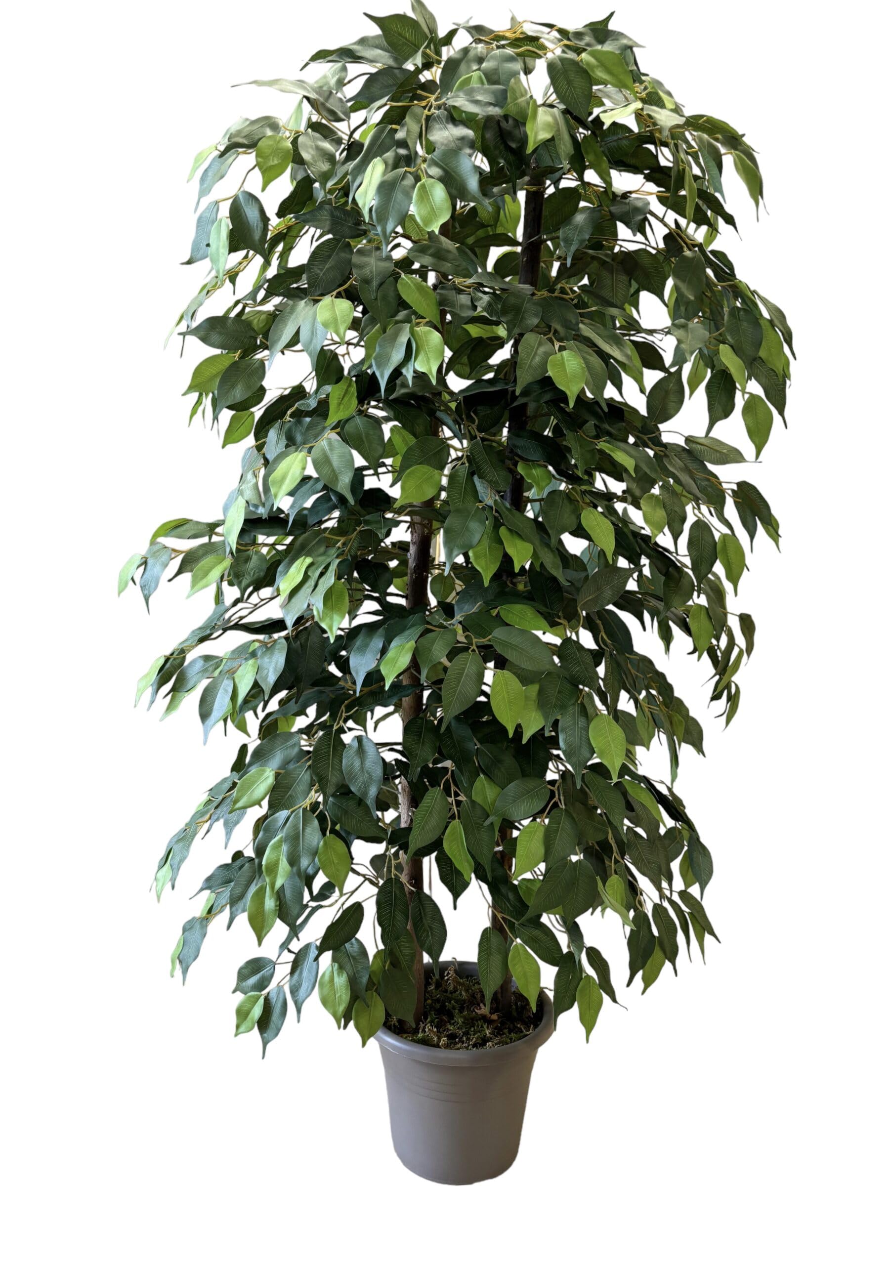 2 Pezzi Pianta Finta Cadente,78CM Pianta Artificiale Sospesa Piante Finte da Interno Ghirlanda di Edera Finta da Esterno Plastica Piante Pendenti Artificiali per Giardini Soggiorno Balconi Cucina-3
