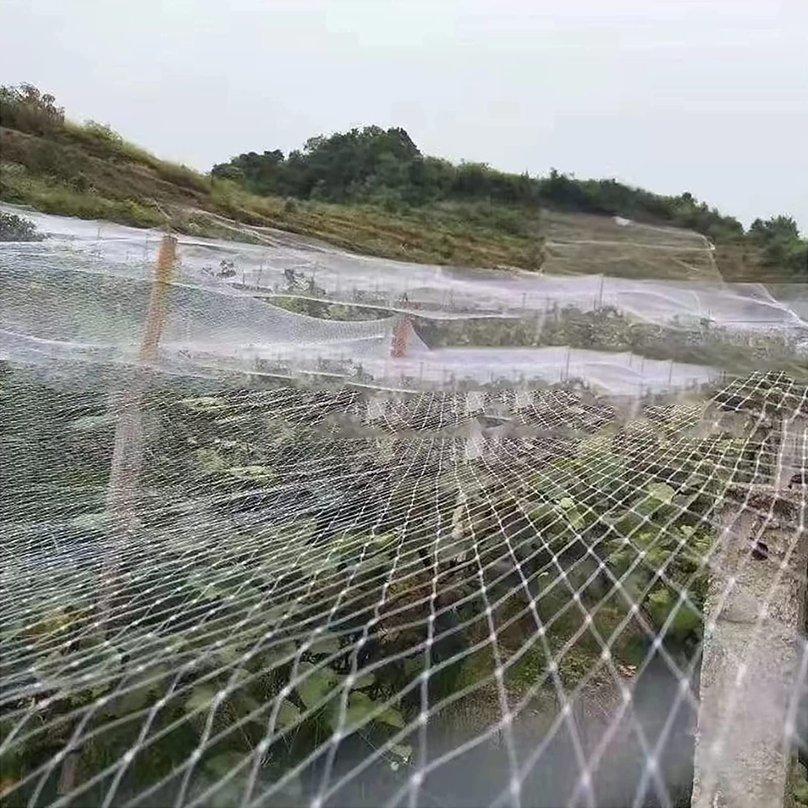 Rete per Uccelli Protezione della Rete del Traliccio delle Piante Coltivate, Alberi da Frutto Cespugli di Mirtilli Rete da Giardino in Nylon Bianco, Rete di Prevenzione Deterrente