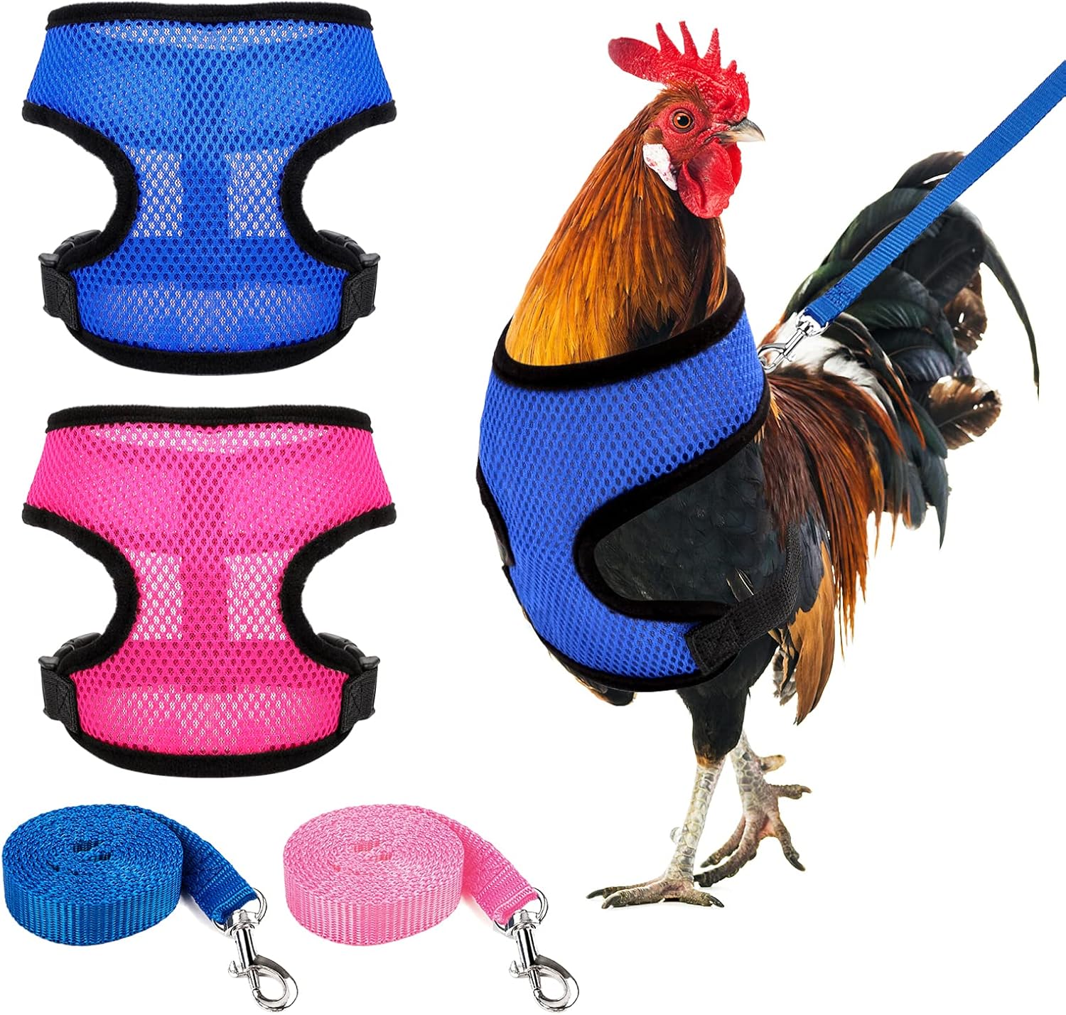 rooster leash