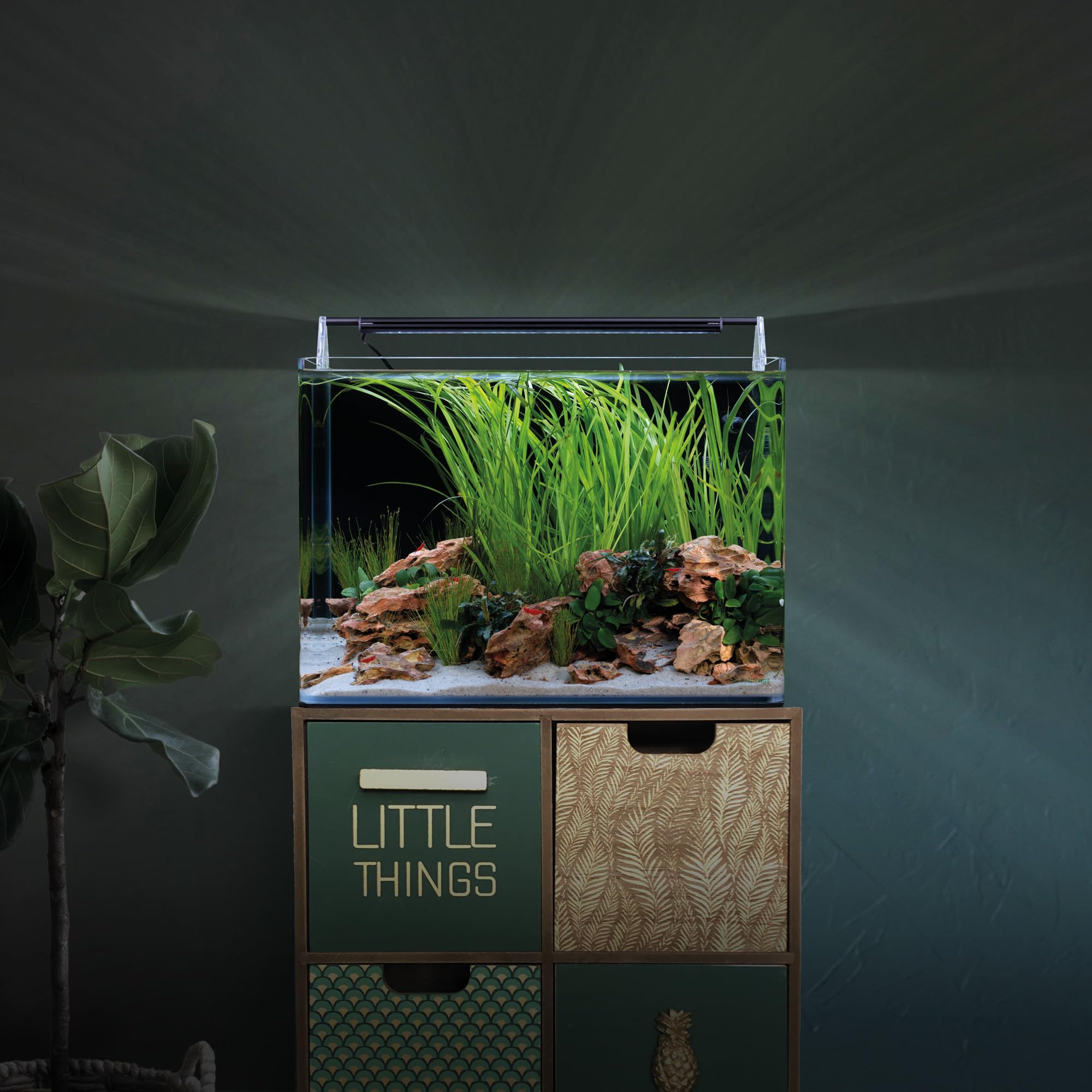 Dennerle Nano Tank Basic, 35 Liter - 40 x 32 x 28 cm - Nano Aquascaping Aquarium
