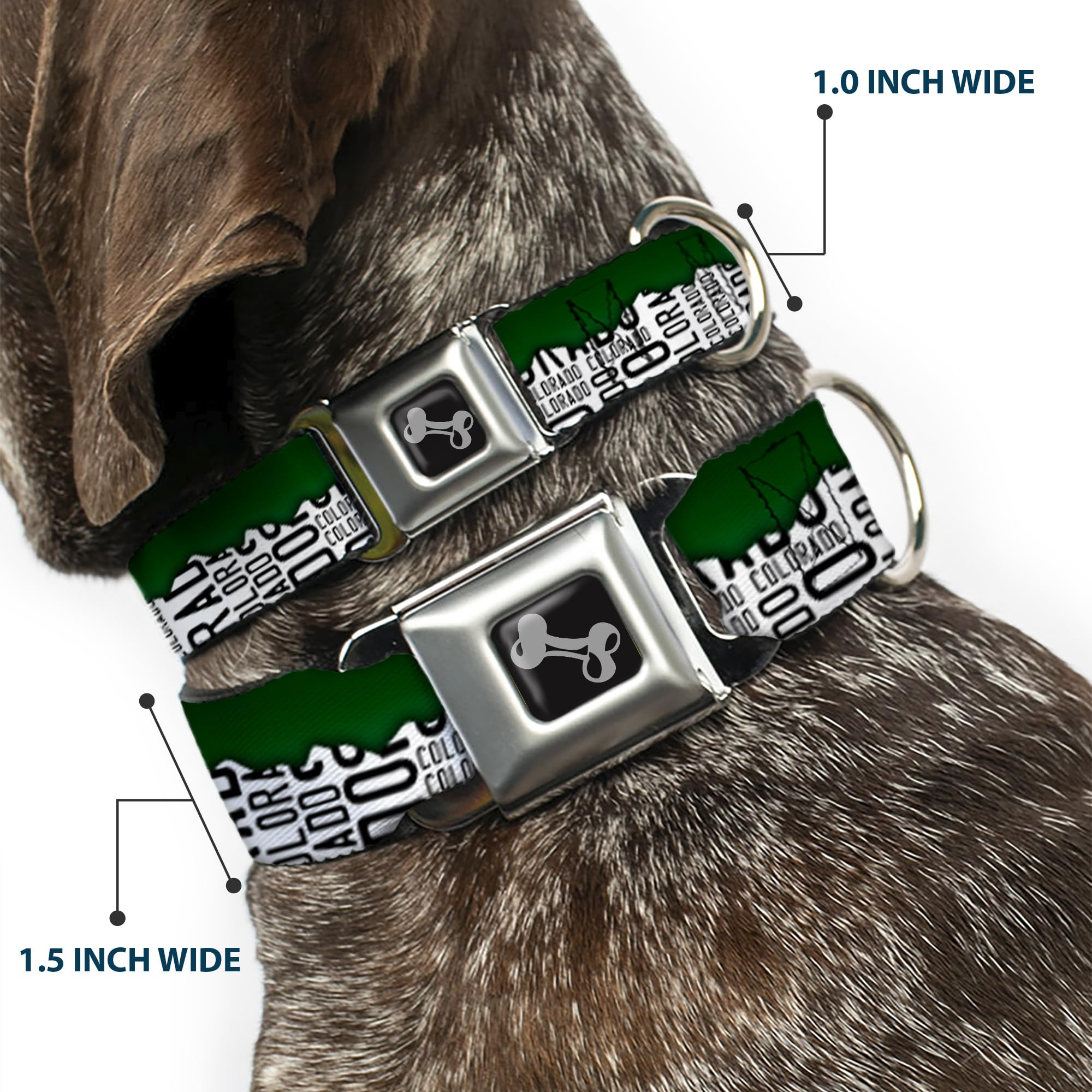 Buckle-Down DC-W35515-WS - Cinturón de Seguridad para Perro, Talla S, Color Verde, Blanco y Negro