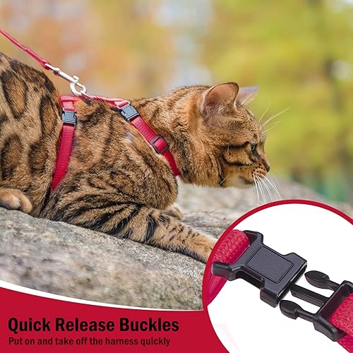 Miniatura 3 de PUPTECK - Arnés ajustable para gato cinta de collar de nailon con correa, Adjustable, Rojo