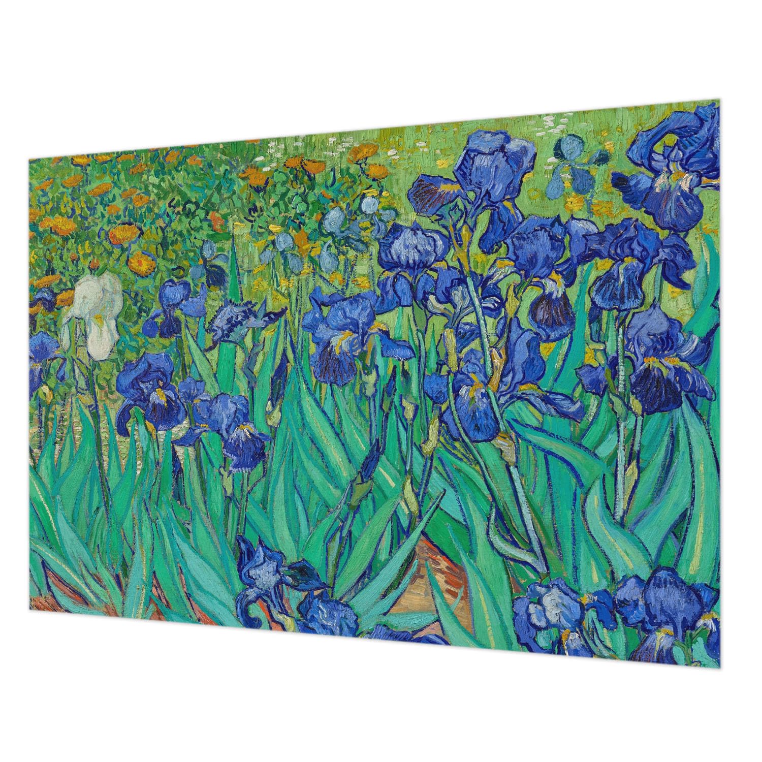 Papier peint intissé fleurs du jardin pose murale facile avec colle incluse