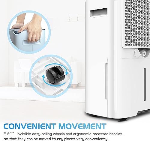 Miniatura 9 de HEVILLO - Deshumidificadores de 40 pintas