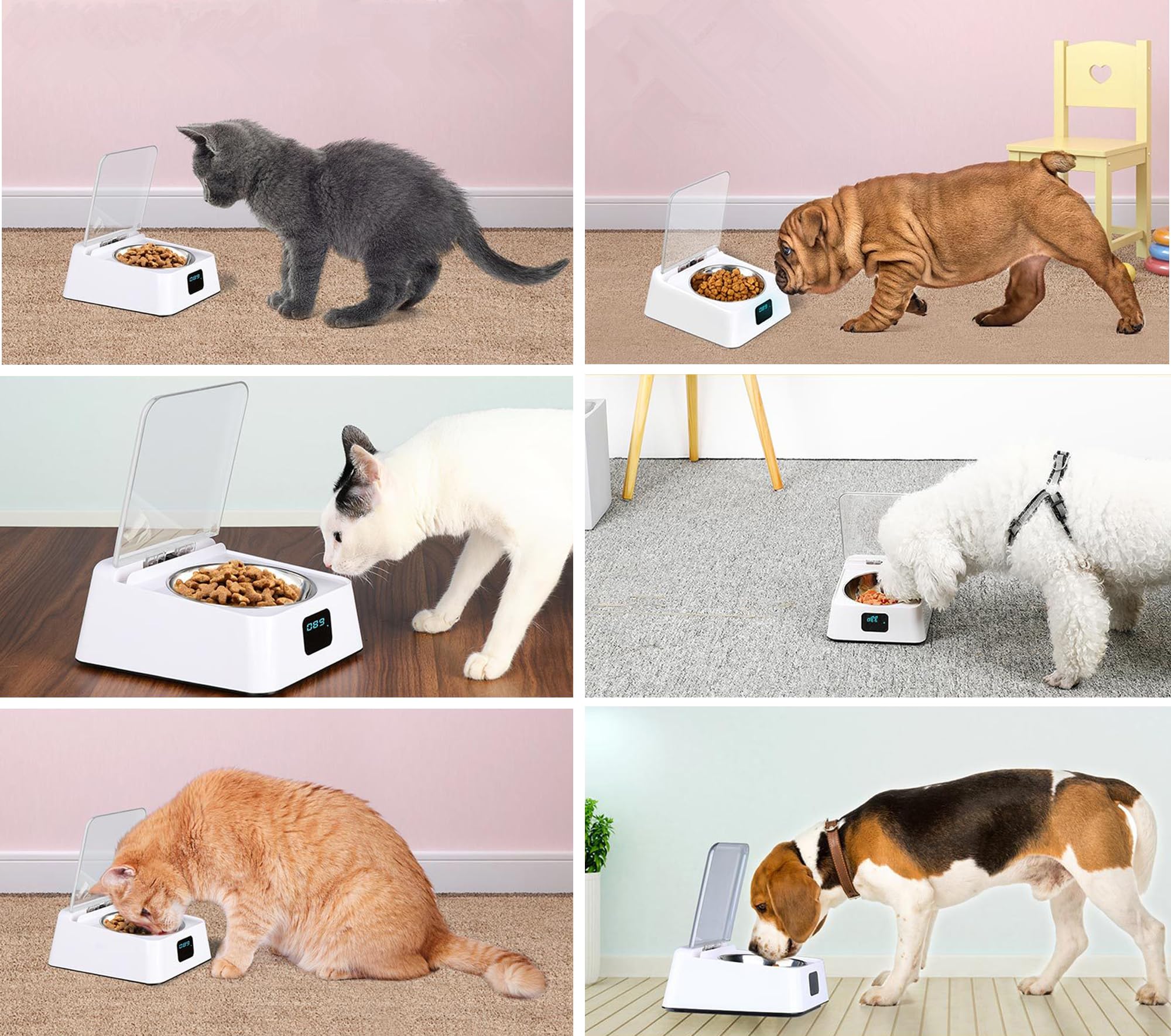 Distributeur Automatique de Nourriture pour Chats et Chiens – Capteur Infrarouge Intelligent pour Alimentation Sèche/Humide (350ml) avec Bol en Acier Inoxydable – Pratique pour Petits/Moyens Animaux