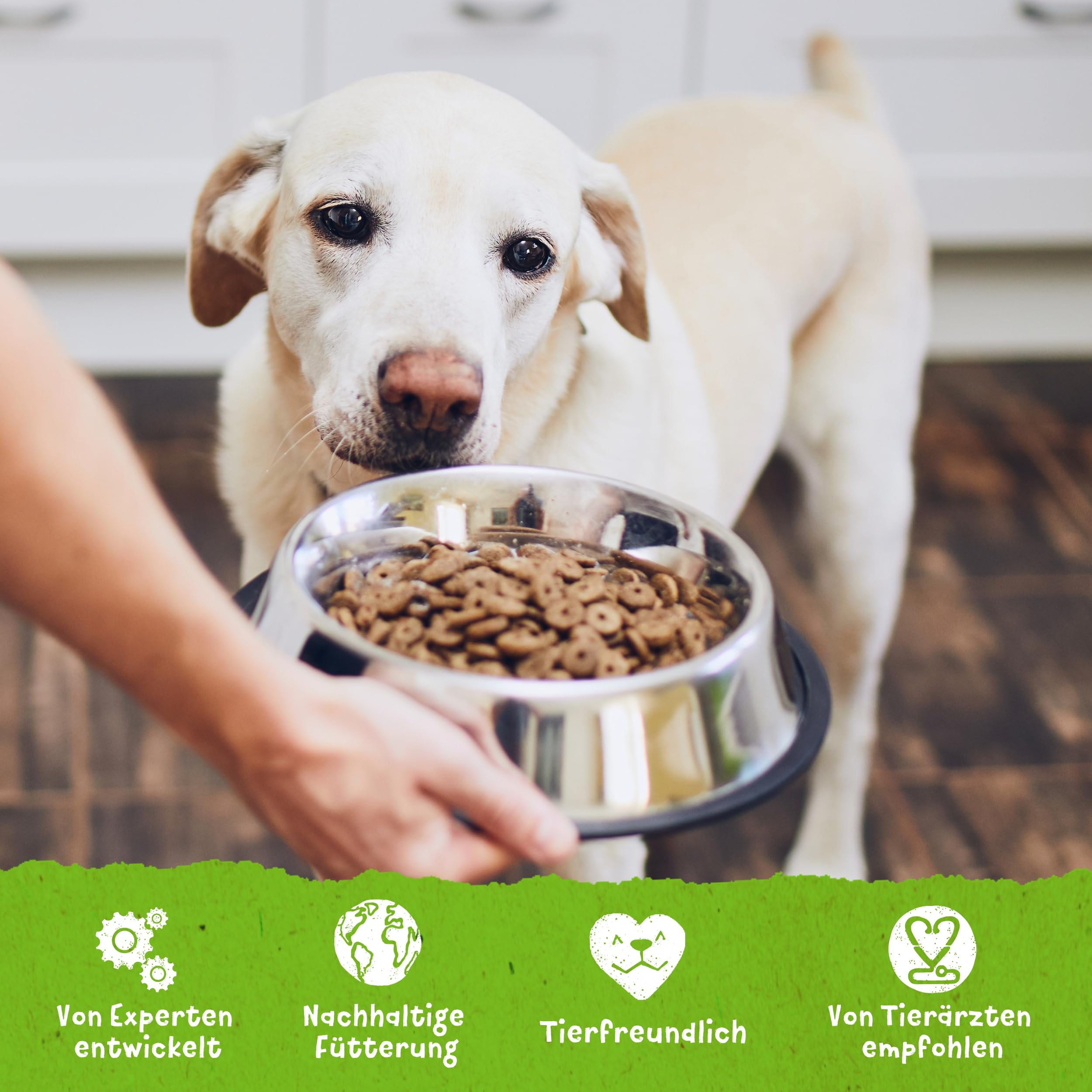 Benevo Comida para perros vegana seca (10 kg), hipoalergénica, sin trigo, sin OGM, alimentos secos para todas las razas con ácidos grasos esenciales, taurina, L-carnitina, PETA y Vegan Society UK