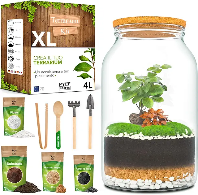 Kit Terrario Fai Da Te XL - Ecosistema Autosufficiente in Vetro 4L