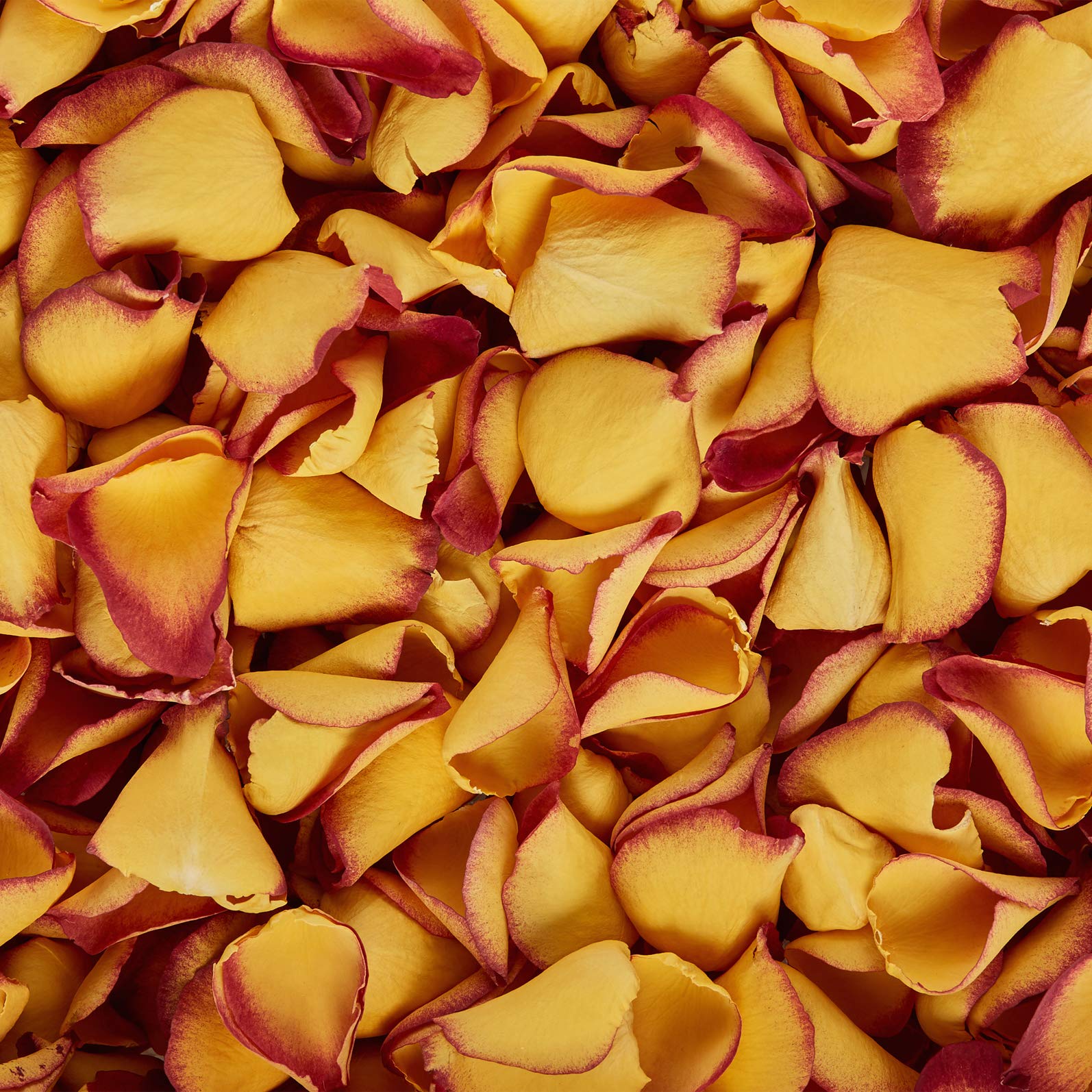 Petals and Roses Freeze Dried Rose Petal Confetti | Natural & Biodegradable for Weddings, Sunset Kiss, 2 Litres
