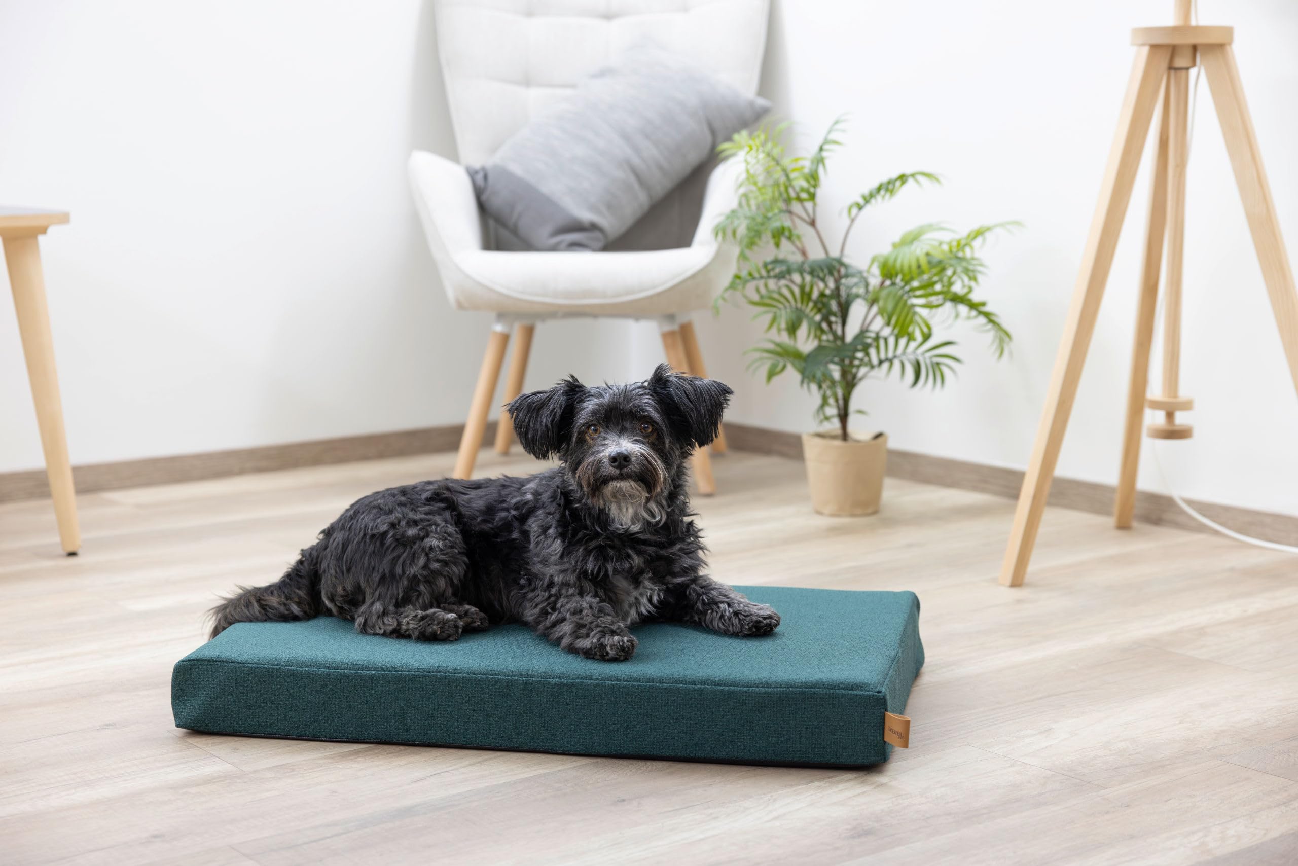 Kerbl Pet Matelas en Mousse à mémoire de Forme Oliver, Vert Anglais, 100 x 60 x 8 cm, Panier pour Chien, Coussin pour Chien, Mousse, Chiens