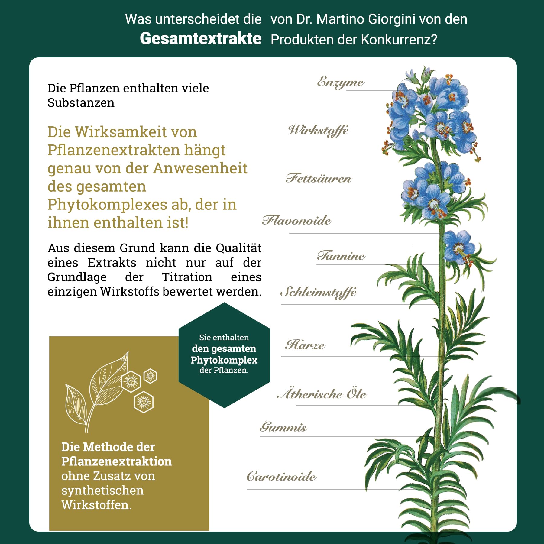Dr. Giorgini Propolis Gesamtextrakt – 200 ml