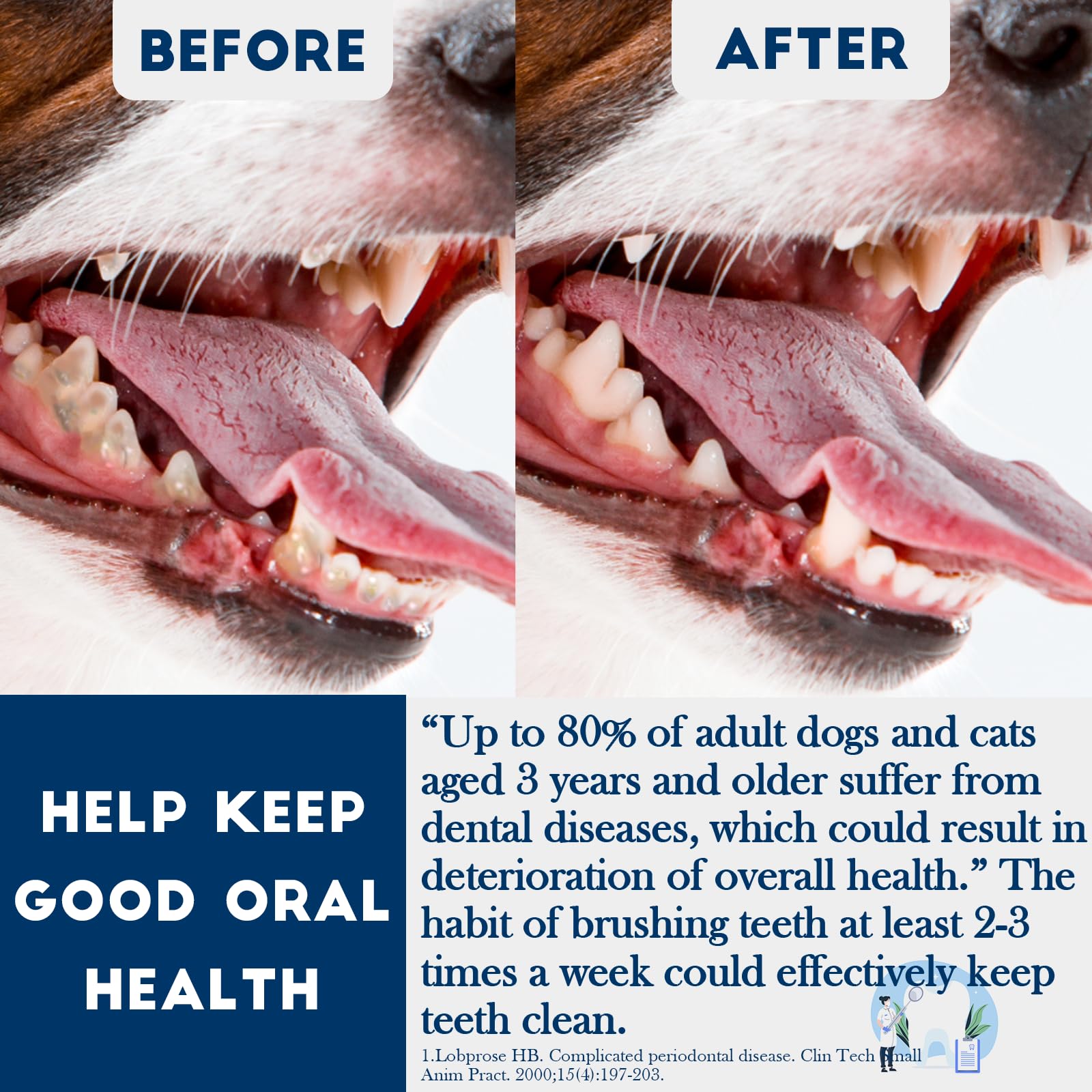 Cepillo de dientes para mascotas DU-CWYS-003-N3.