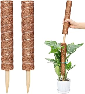 2Packs Moss Poles for Climbing Plants,15.8inch Coco Coir Totem Polem,Stackabl Moss Stick Plant Support Grow Upwards Coir Moss Stick for Creepers Monstera Plants Ivy Pothos