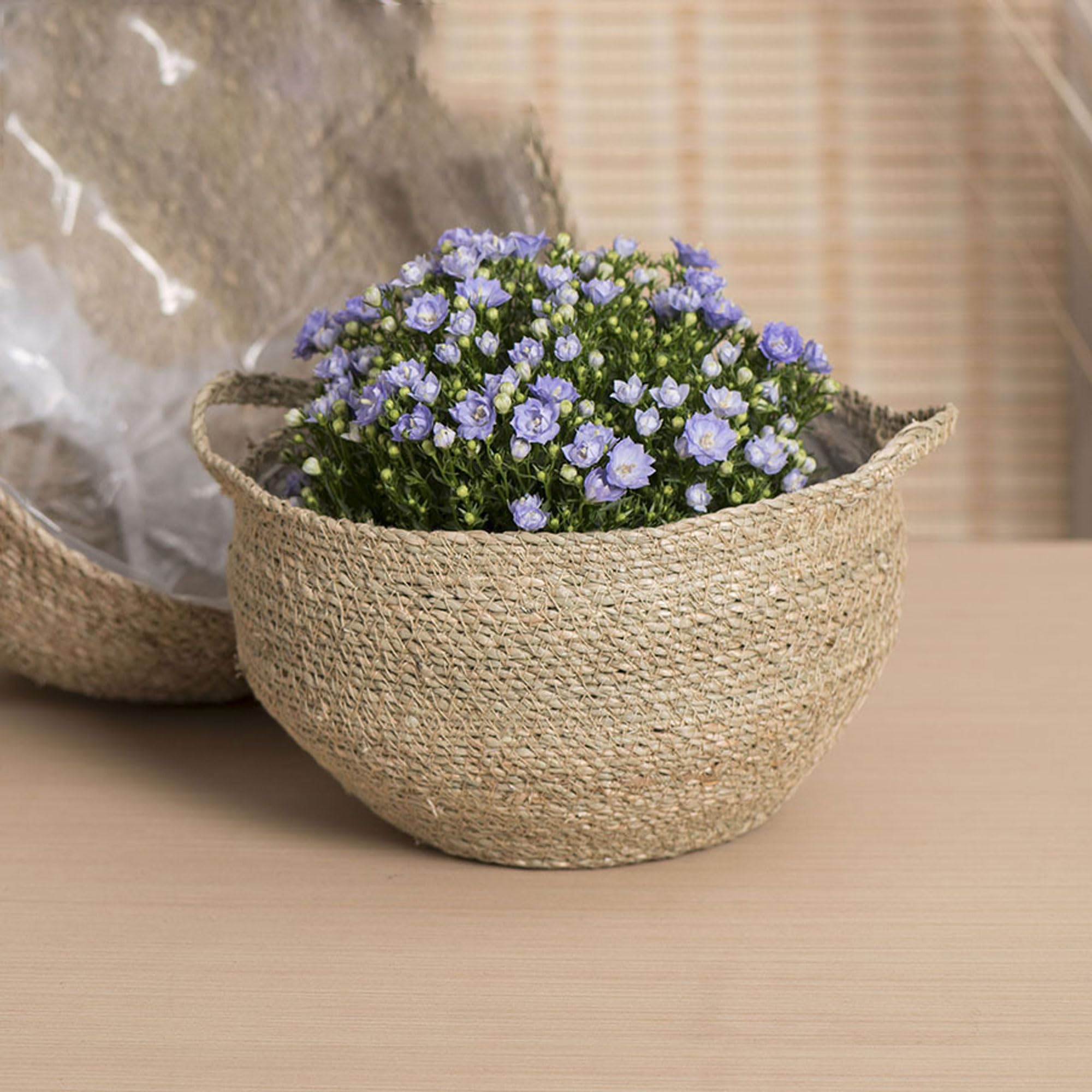 1 Pot en Jonc avec Doublure Plastique, Panier Tressé en Osier pour Plantes, Cache-Pot Rustique, Contenant Naturel pour Décoration Maison(Size:Moyen)