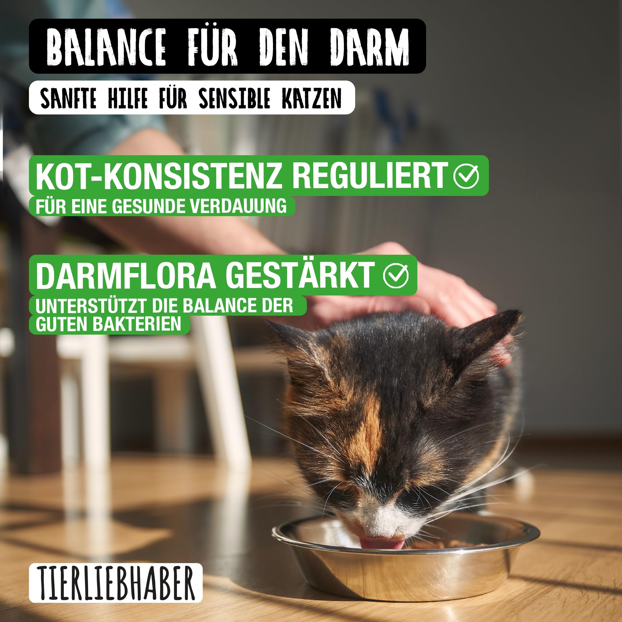 TIERLIEBHABER – Prä- & Probio Darmkur für Katzen – Probiotika für Katzen – Mit Tierärzten entwickelt – Probiotika Katze für eine Normale Magen-Darm-Funktion – Mit Flohsamen, Bierhefe & Inulin (75g)