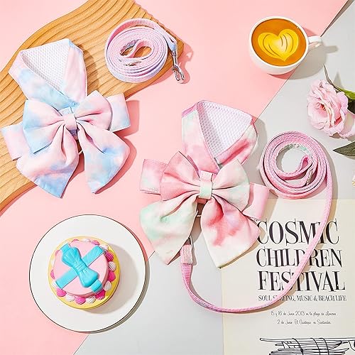 Miniatura 6 de Juego de 2 arnés para perro pequeño y correa para gato, arnés de arcoíris para perros pequeños, arnés para perros pequeños, arnés ajustable de malla