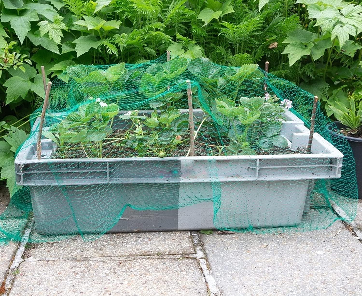 Anti Bird Net - Protect Plants & Garden -7