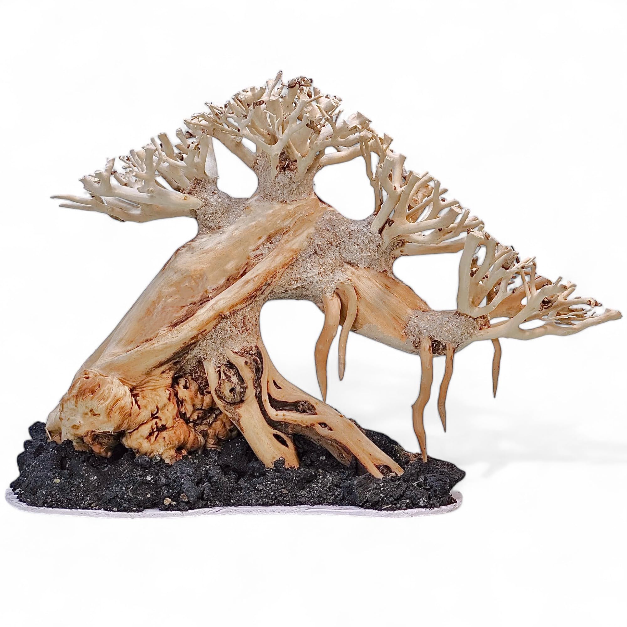 Azil Bonsai Driftwood Aquarium Tree for Aquarium Decor Fish Tank Decorations (10.1'' Length)