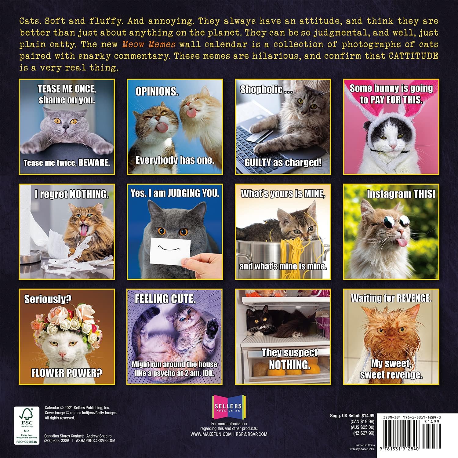 Meme Of The Month Calendar 2022 Amazon.com: Meow Memes 2022 Wall Calendar 16-Month : Sellers Pub Inc:  Everything Else