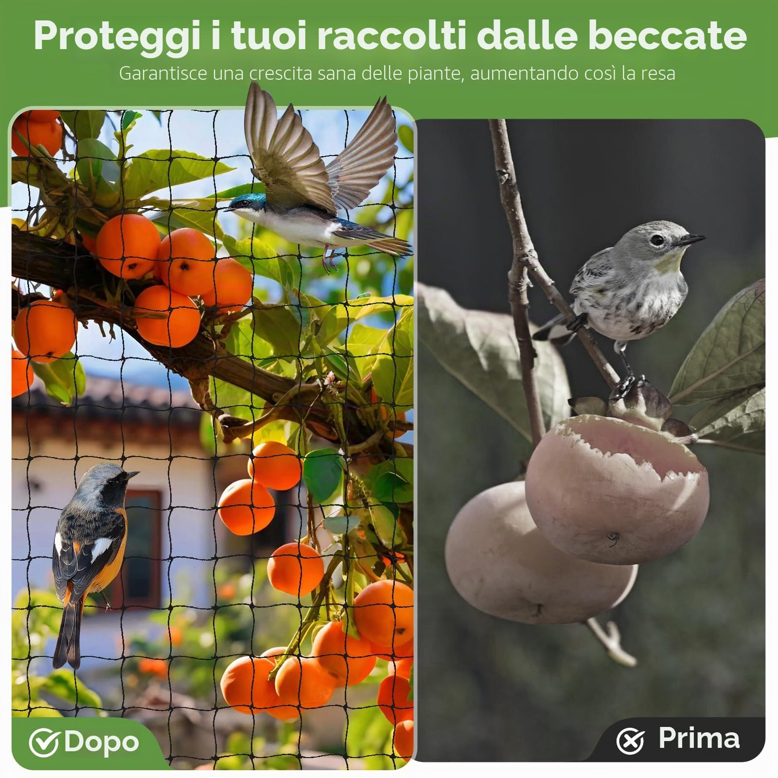 10 m x 10 m Rete Anti Piccioni, Rete Anti Uccelli Nero, Rete Giardino, per Giardino, Voliere, Protezione per Laghetto -Proteggere Piante, Frutta, Fiori, Alberi (Maglia da 2.5 X 2.5cm)