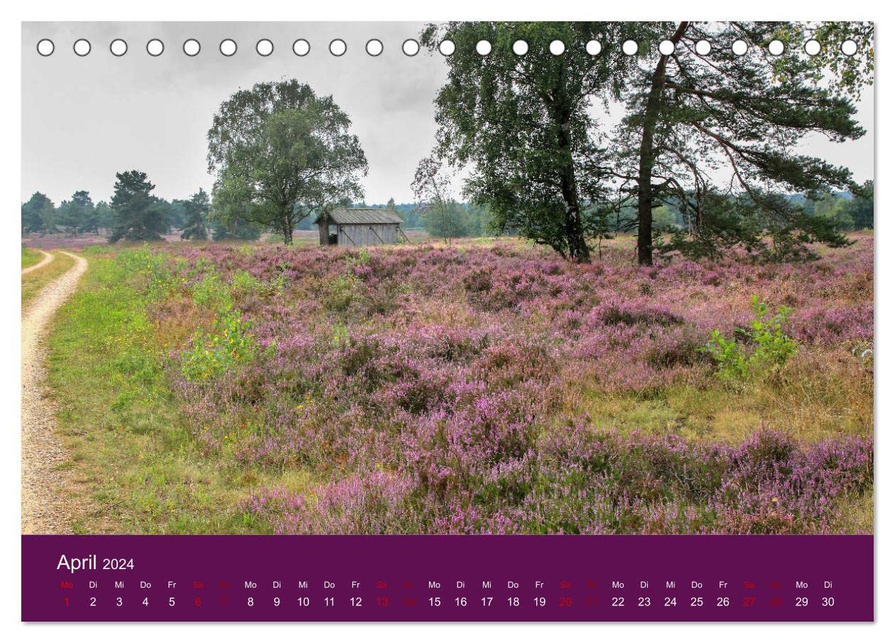 Die Heide blüht (Tischkalender 2024 DIN A5 quer), CALVENDO Monatskalender: Blühende Heidelandschaften, Schäfer mit Heidschnuckenherde und romantische Häuser (CALVENDO Orte)