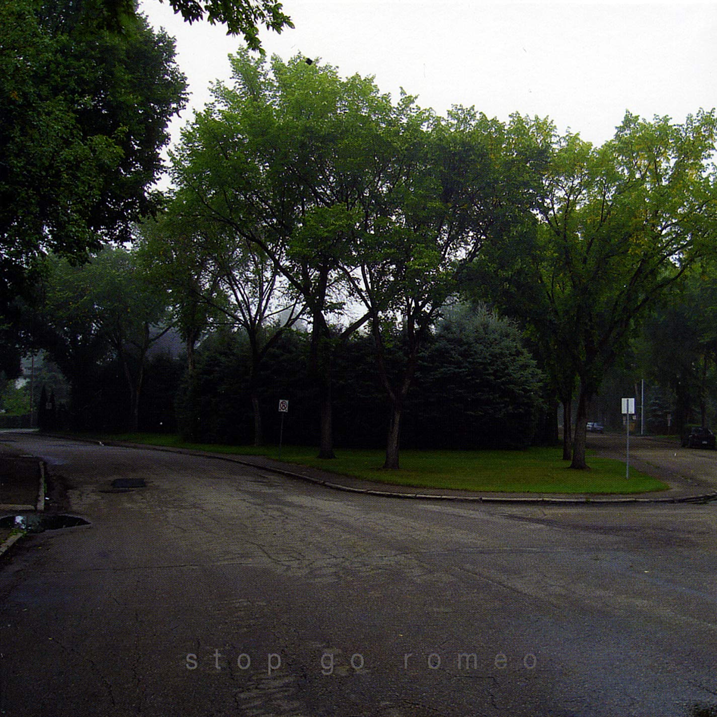 Stop Go Romeo [Audio CD] Wilfred N. & The Grown Men