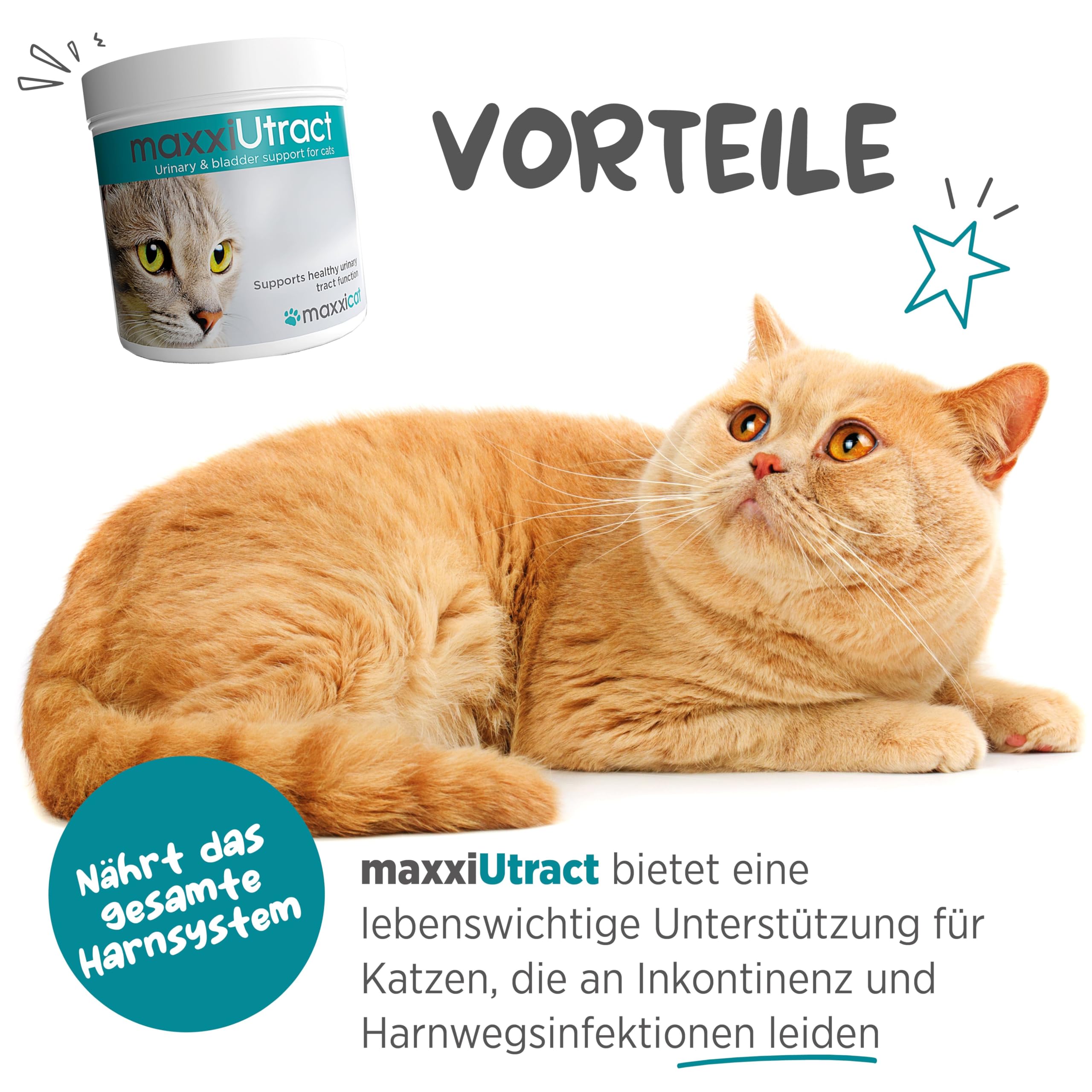 maxxipaws maxxiUtract Harnwegs- und Blasenunterstützung - Nahrungsergänzungsmittel in Pulverform für Katzen, 90g