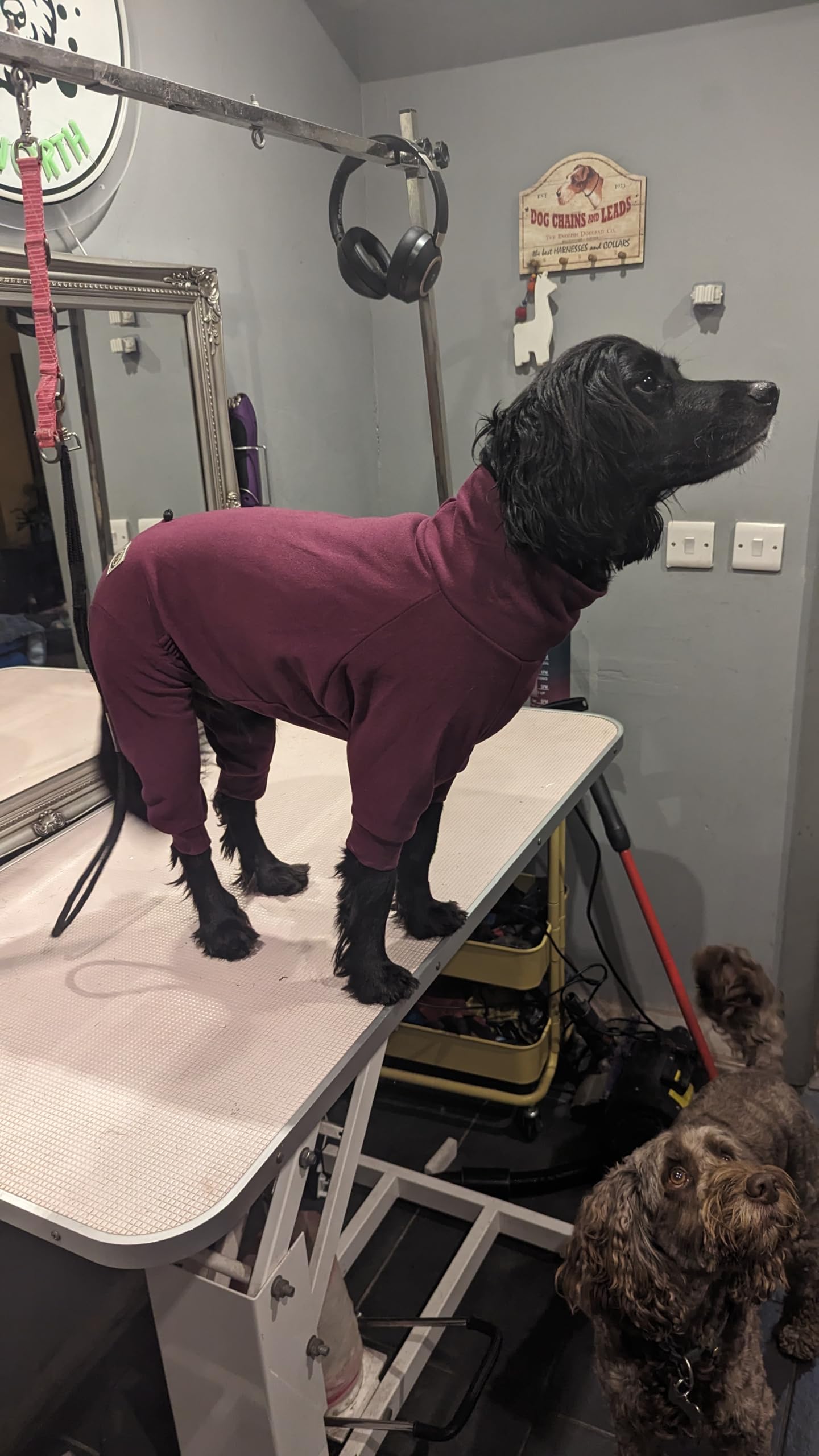 Happy Hounds of Haworth Aqua Fleece Dog Coat, Water Resistant, Adjustable with Leash Hole, Machine Washable (Purple, XS)