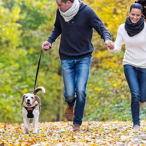 Miniatura 6 de Arnés sin tirones para cachorro, correa suave ajustable para perro, chaleco y correa para perro, sin estrangulamiento, a prueba de escape (XXS,