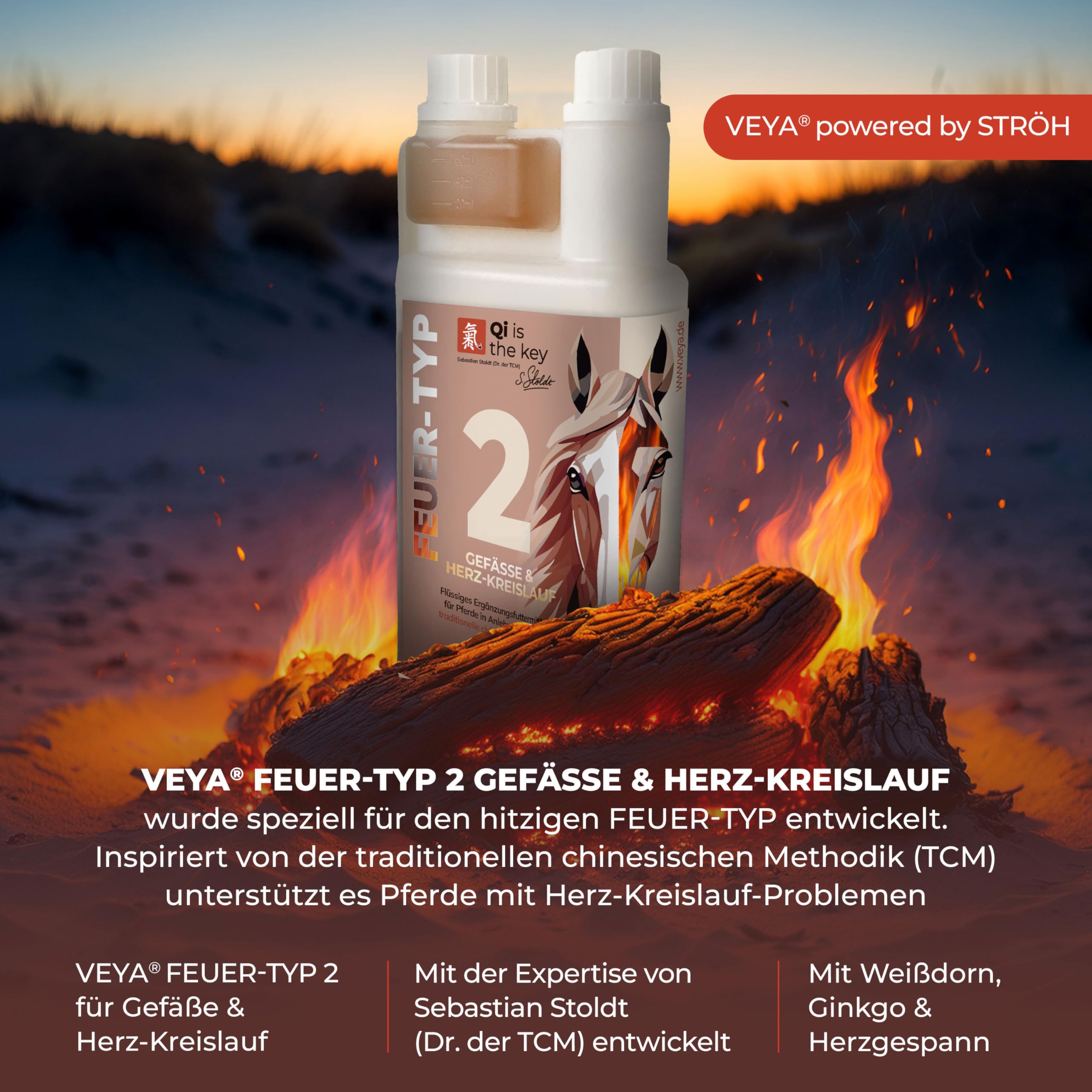 VEYA® by STRÖH Feuer-TYP 2 Gefäße & Herz-Kreislaufsaft (1L) • Ergänzungsfuttermittel für Pferde mit Weißdorn, Ginkgo & Herzgespann • Natürliche Unterstützung des Kreislaufsystems