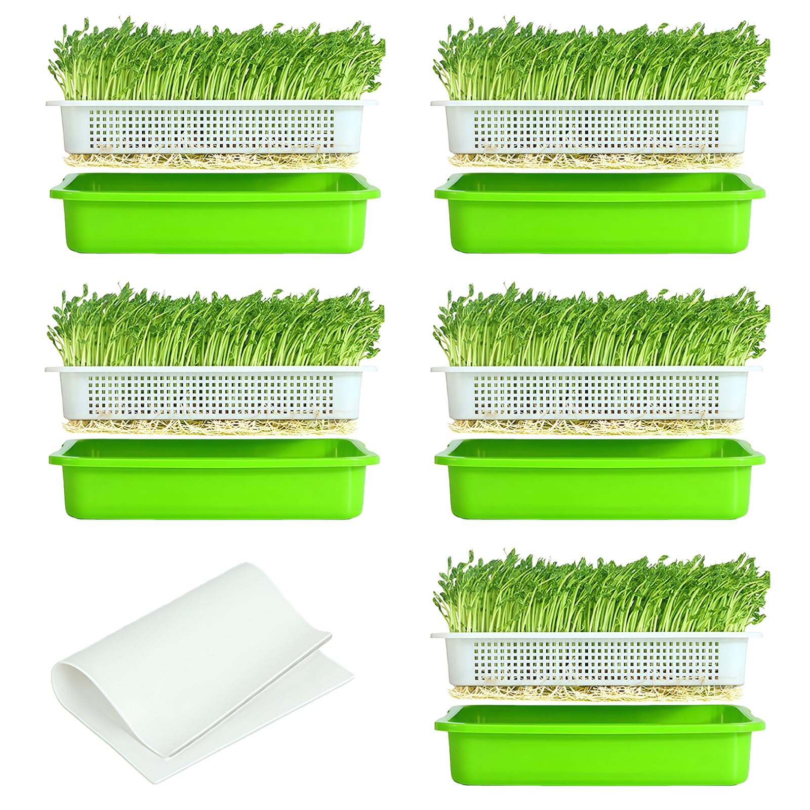 ANBET 5Pcs 32 CM Small Seed Sprouter Trays Set, Small Hole Seedling Trays Germination & 24 Planting Papers, Microgreens Growing Kit for Green Alfalfa Mung Beans Wheat Grass Hydroponics