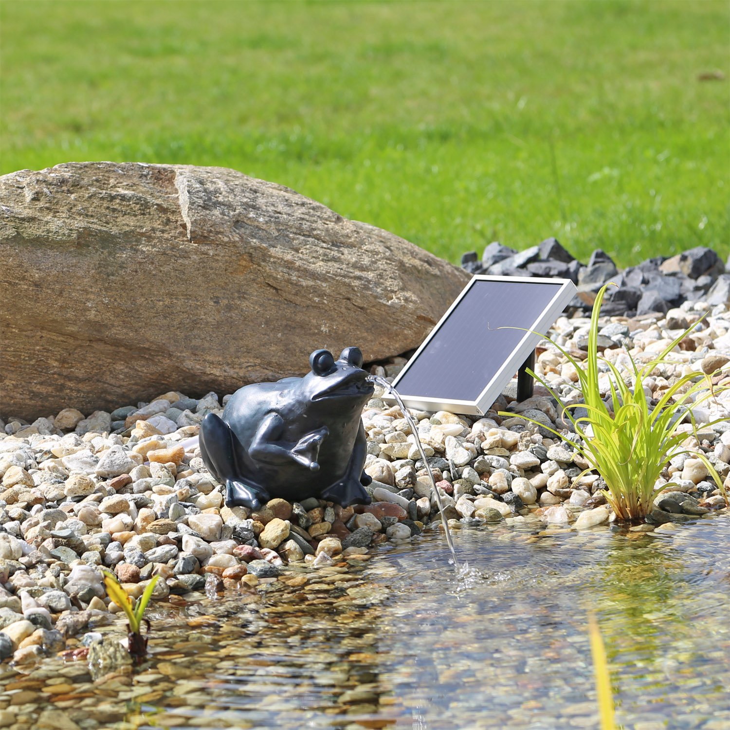 CLGarden Solar Wasserspeier Frosch NSP9 Springbrunnen für Teich mit Pumpe