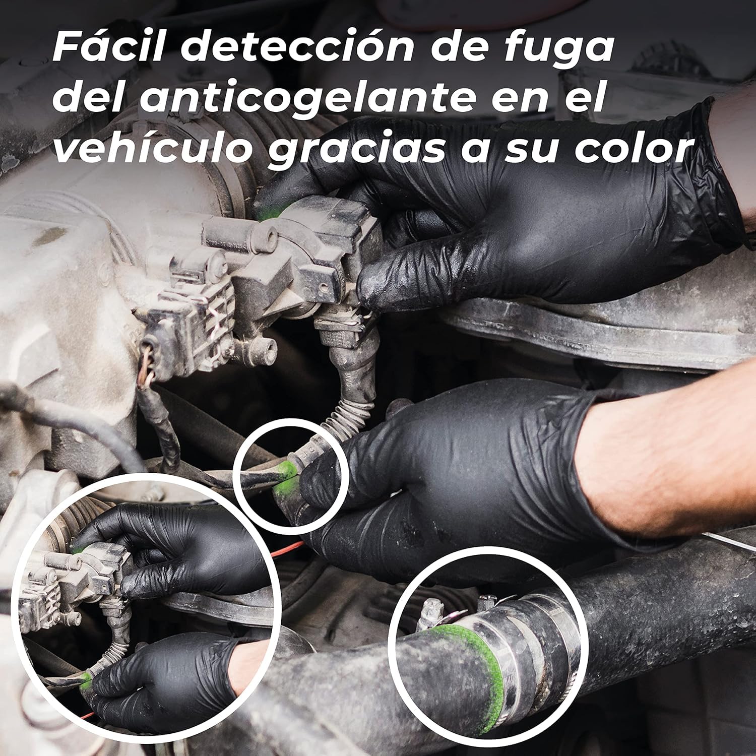 Anticongelante coche 50% G12 Protección -37º - 5 Litros Orgánico Long Life