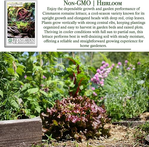 Miniatura 3 de Cimmaron Semillas de lechuga romana para plantar, más de 1000 semillas tradicionales por paquete, semillas de jardín de Isla (semillas de jardín de