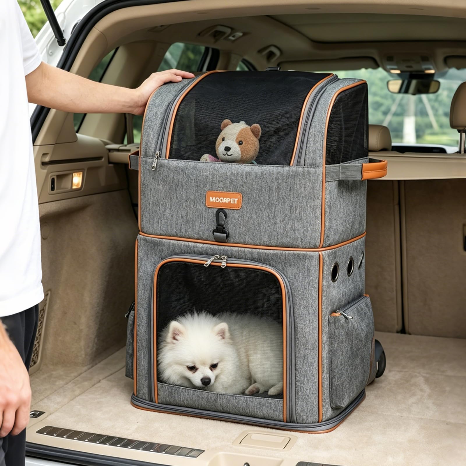 Katzenrucksack Große Katzen, Abnehmbarer Katzenrucksack für Katzen bis 10kg