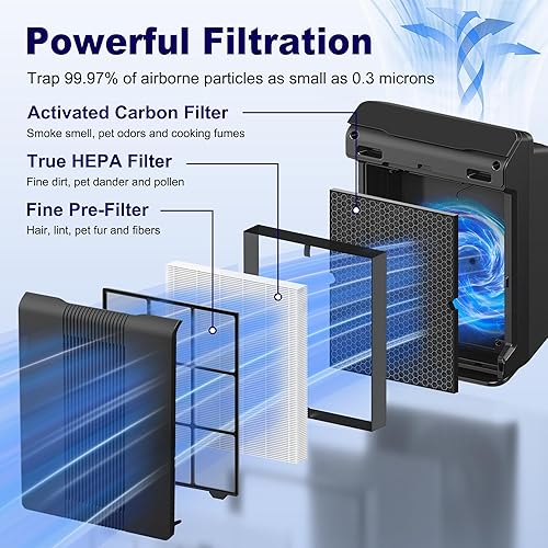 Miniatura 3 de 116130 Filtro de repuesto H para purificador de aire Winix 5500-2 AM80 Plasmawave, filtro HEPA verdadero y filtro de carbón activado, paquete