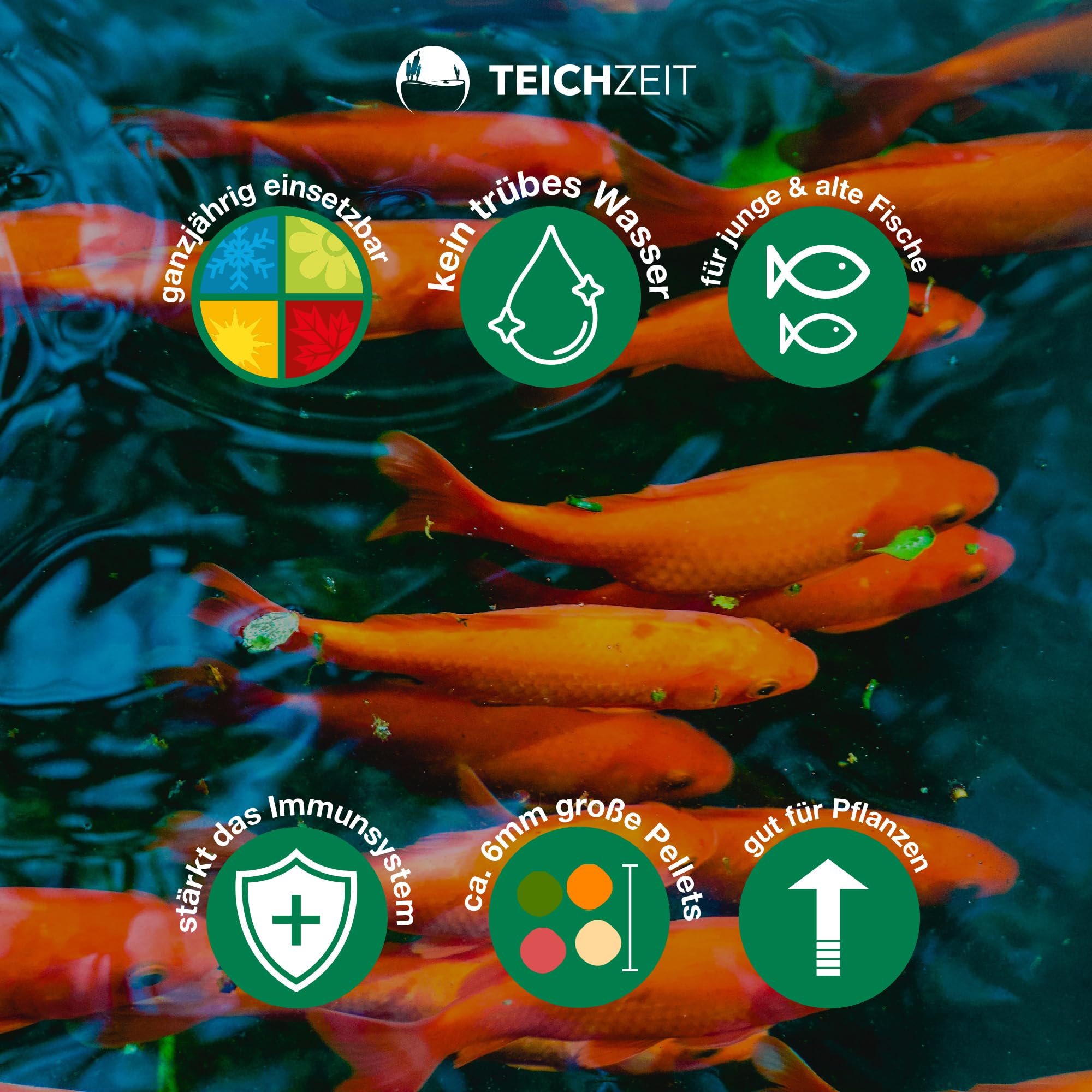 Teichzeit Goldfischfutter I Teich Fischfutter für Goldfische und Teichfische I Fördert Wachstum & Farbintensität | Schwimmfähig & leicht verdaulich | Made in Germany | 5kg