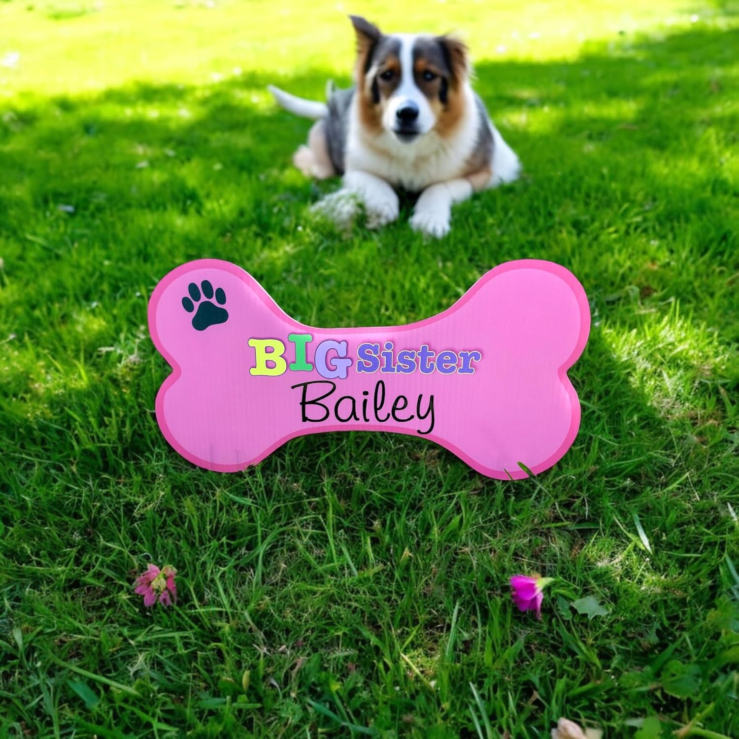 Personalized Dog Bone Sign, I'm Big Sister Yard Announcement, Custom Lawn Decoration, Sibling Pet Greeting Card, Outdoor Banner, Photo Prop, Welcome Home Newborn Baby Stork, Pink