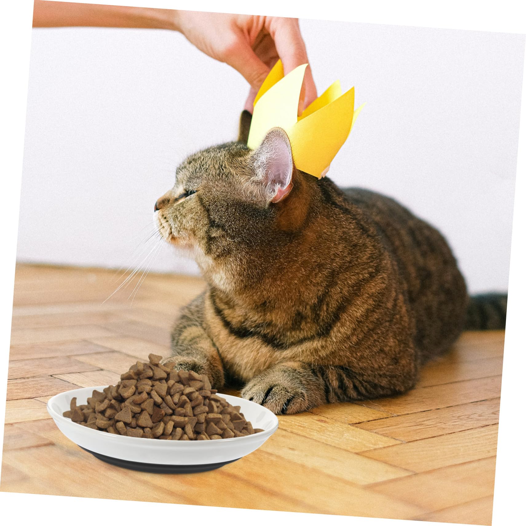 ibasenice Gamelle Peu Profonde pour Chat en Céramique Beige 3 Pièces