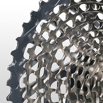 Amazon.com : SRAM XX1 XG-1199 10-42 11-Speed Cassette : Bike