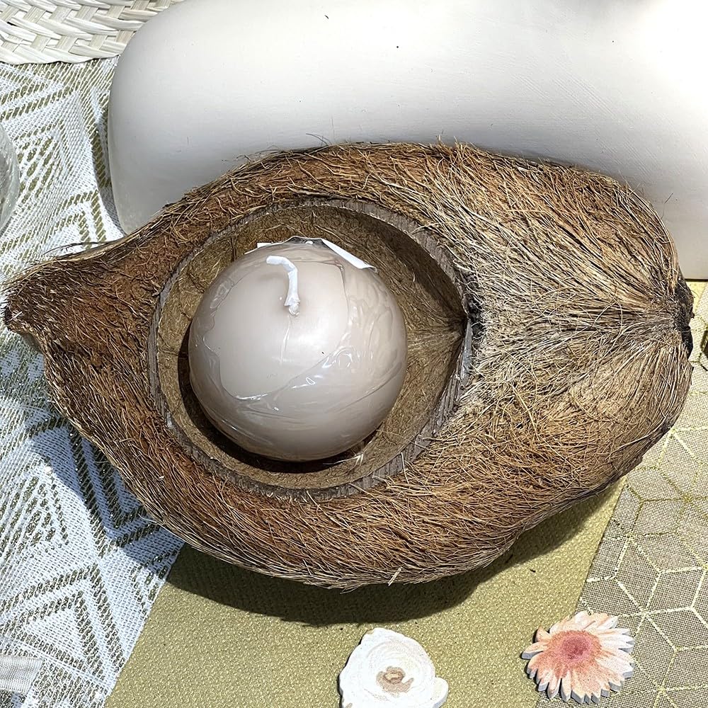 HOGEWONING BV - 3 DEMI NOIX DE COCO NATURELLES