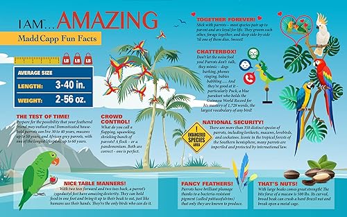 Miniatura 4 de Madd CAPP Parrot - Rompecabezas de 300 piezas para edades de 10 años en adelante, borde de forma única, desafiantes piezas de corte aleatorio, a